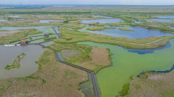 Ningbo wetland wins national recognition