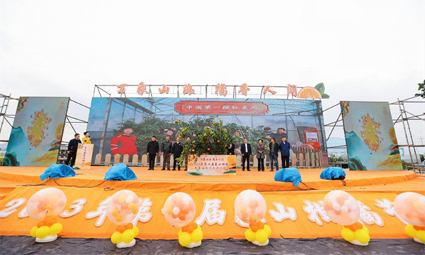Citrus festival celebrates Red Beauty harvest in Xiangshan 