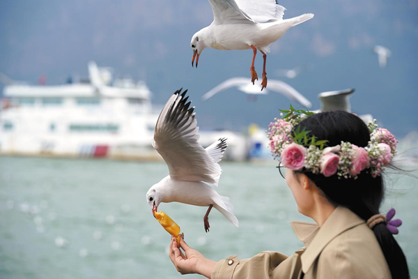 China's tourism roars back during New Year's Day holiday, topping pre-pandemic levels