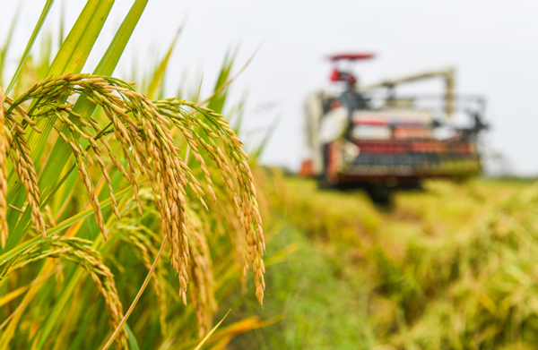 Key meeting outlines tasks for 2024 rural development