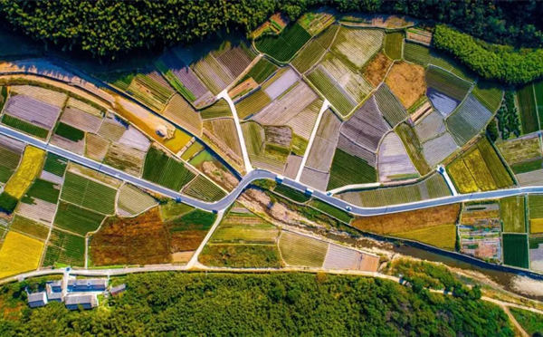 Ningbo unveils ambitious county road network construction plan