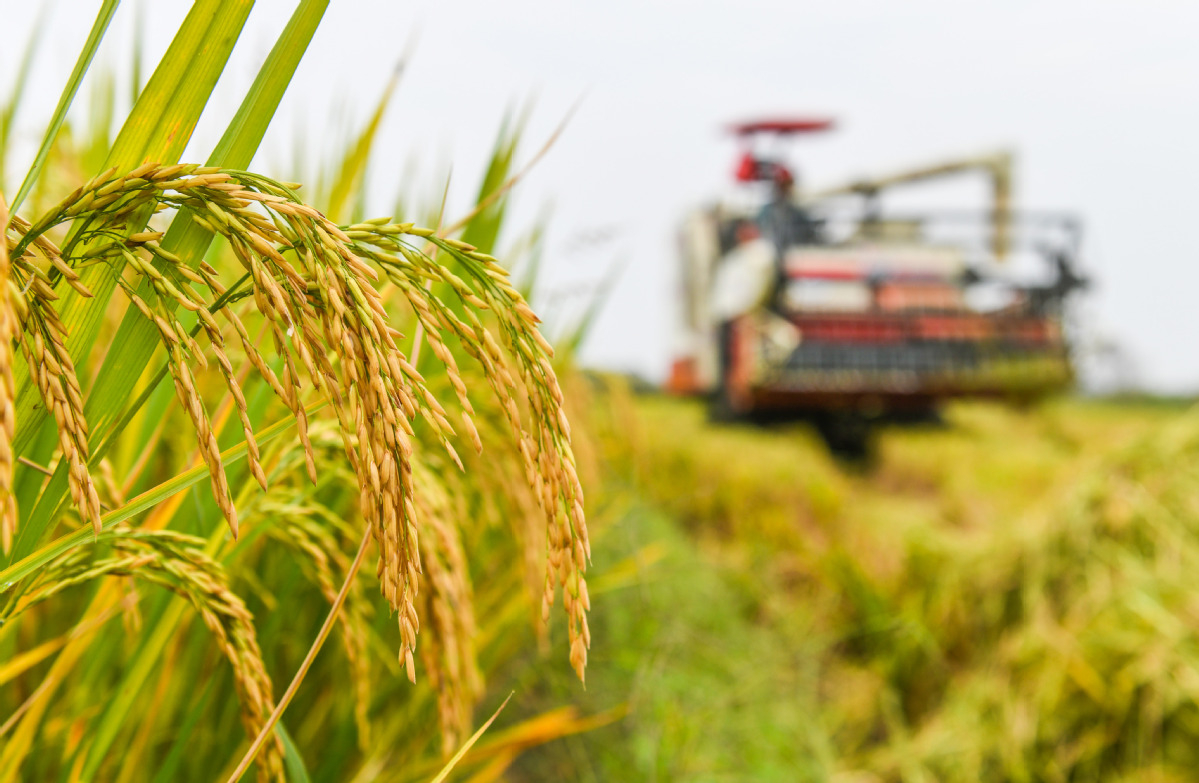 50m ton increase in food targeted by 2030