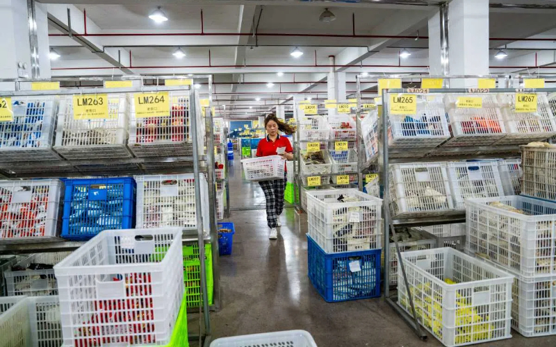 618 shopping gala stimulates consumption