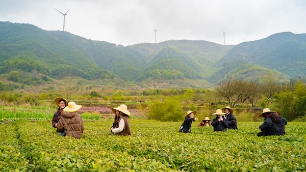 Intl students explore Ningbo's spring traditions