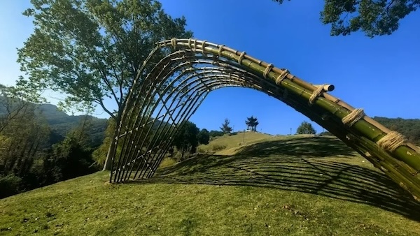 Ruo'ao village: A new chapter in traditional village vitalization