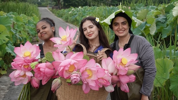 Intl students experience lotus harvesting in Ningbo
