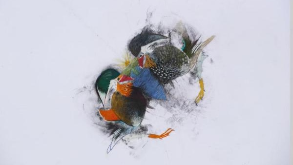 Karen Lyons' solo exhibition opens in Ningbo