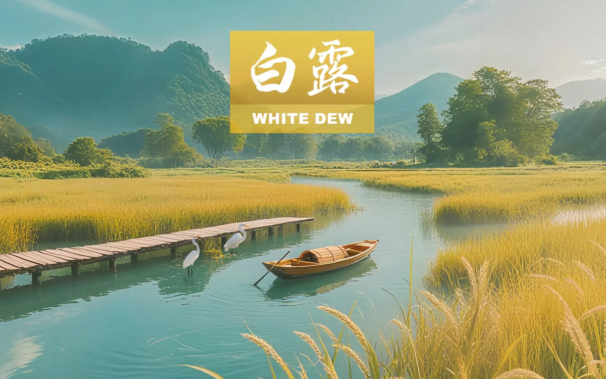 White Dew: Autumn is near