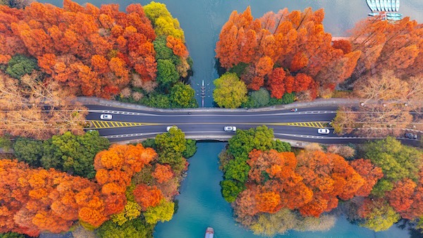 Strategy defines growth trajectory