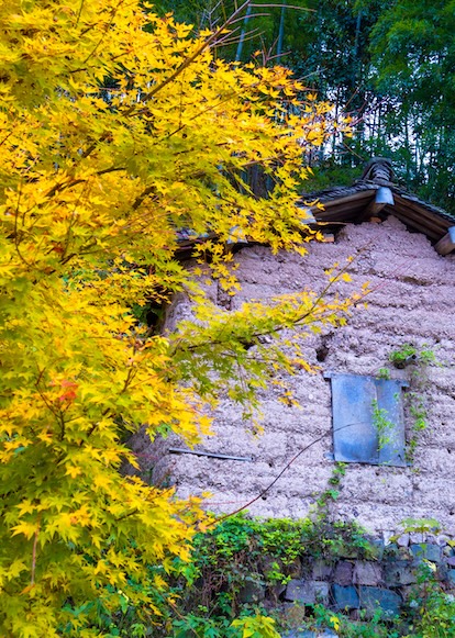 Siming Mountain welcomes peak autumn scenery
