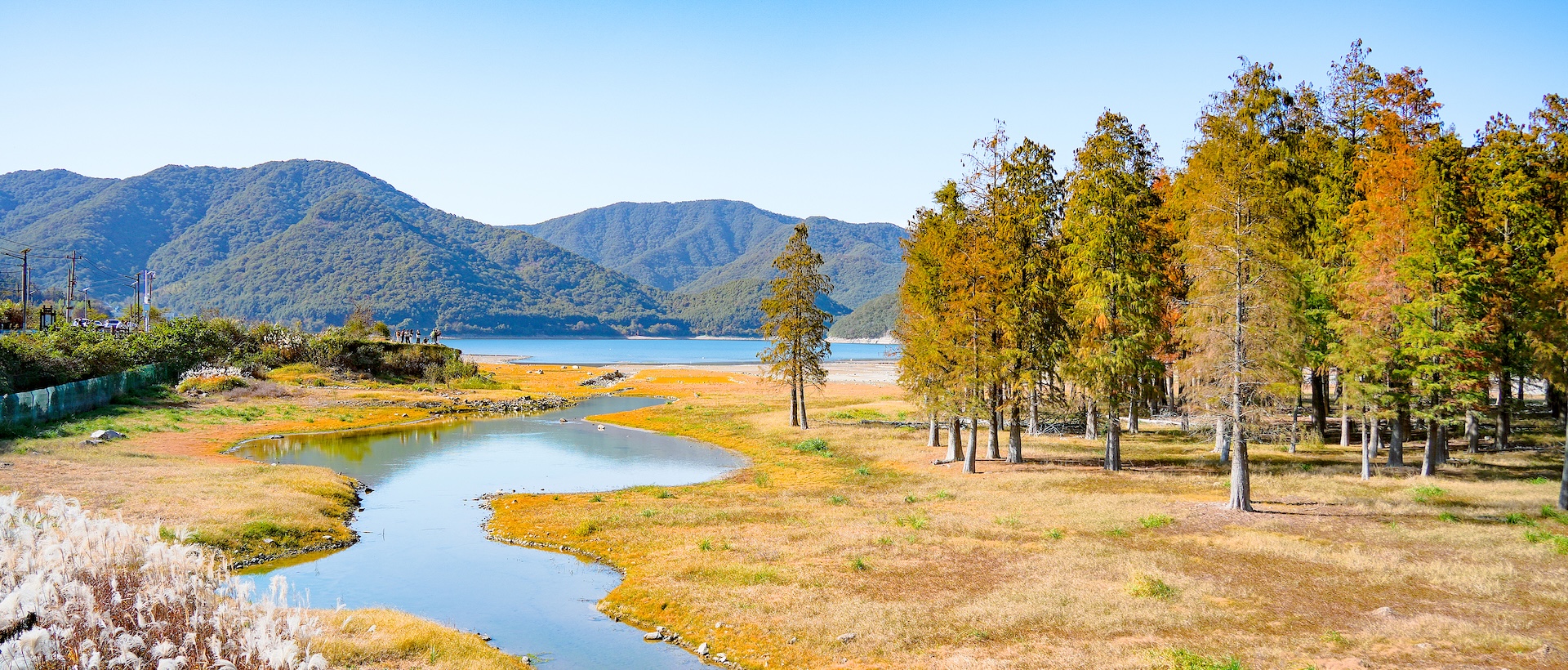 Autumn beauty draws crowds to Ningbo's Taibai Lake forest
