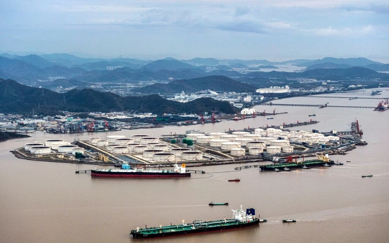 Zhejiang's foreign trade up 5.3% in first 11 months