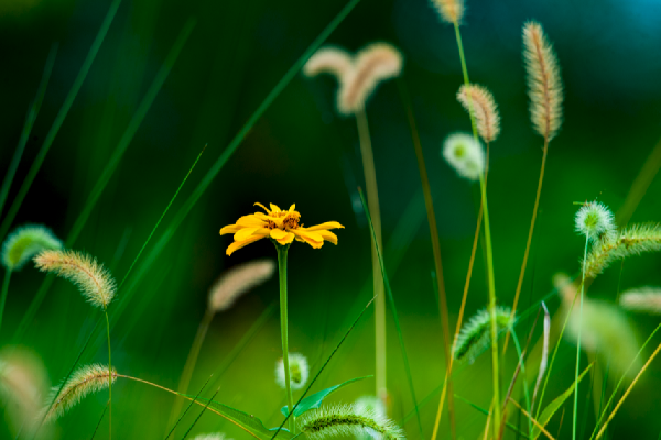 Ningbo Botanical Garden after autumn drizzle