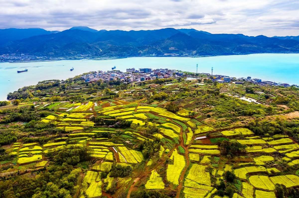 Art boosts rural development in Ninghai
