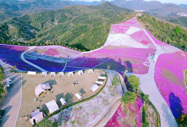 Rural tourism favored during Qingming Festival