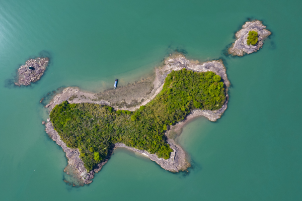 Bird protection efforts pay off in Ninghai