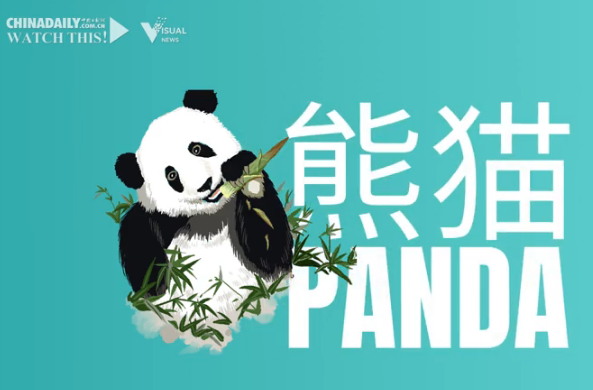 Explainer: Chinese Language Day