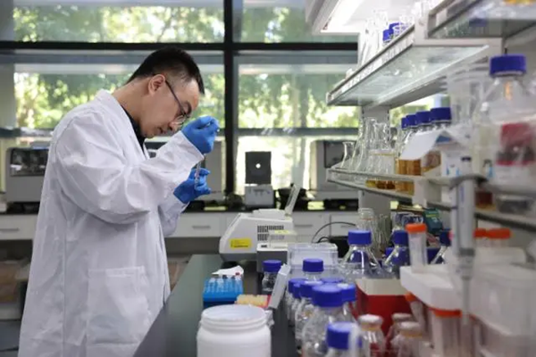 Chinese scientists synthesize sugar from carbon dioxide