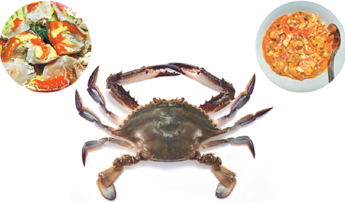 Oceans of flavor