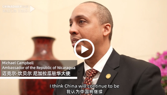 Government work report receives positive feedback from envoys