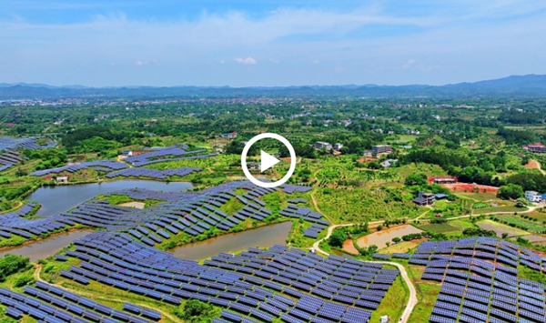 RMI CEO: China, a leader in green, clean technology