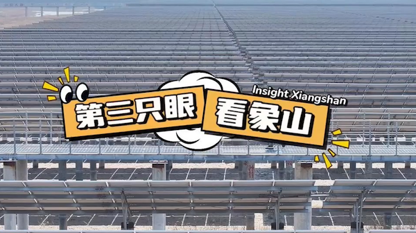 A green revolution in Ningbo's tidal flats