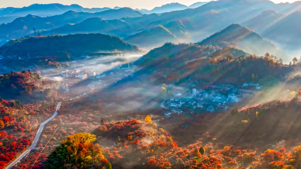 In pics: Ningbo's autumn palette